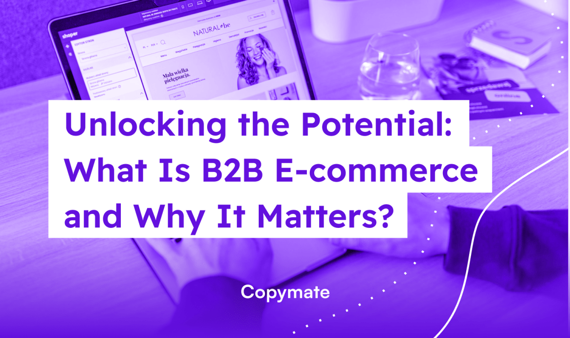 "Unlocking the Potential: What Is B2B E-commerce and Why It Matters