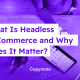 What Is Headless E-Commerce and Why Does It Matter?